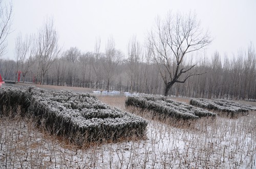 辽宁今冬第一场雪影响省内15条高速公路
