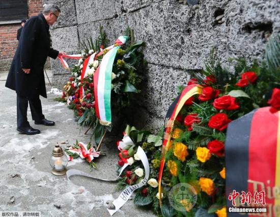 美国官员称波兰参与二战大屠杀 美驻波兰大使道歉
