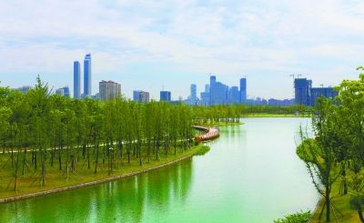 南京河西生态公园建成 嵌入景观桥湿地平台