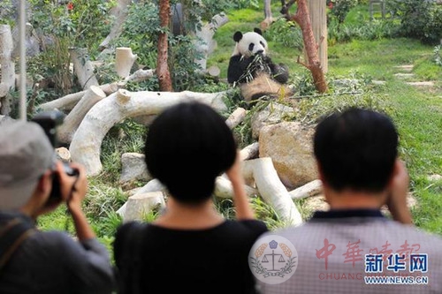 中央赠澳门大熊猫亮相 与小朋友共度同乐日