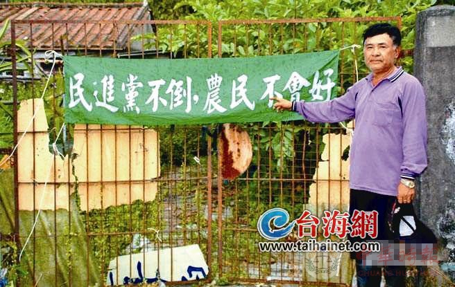 台湾农民怒吼 蔡英文开始发抖 岛内水果全面盛产但价格暴跌