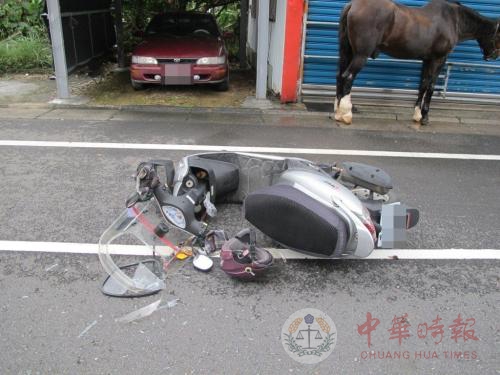 台湾摩托车女骑手称撞马摔车受伤 养马者否认(图)