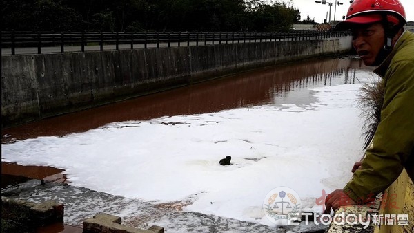 新竹溪水被染红 吴郭鱼“跳岸自杀”农作物或受污染