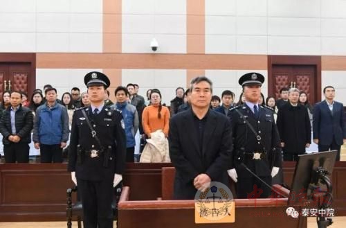 中化集团原总经理蔡希有非法受贿逾5367万获刑12年