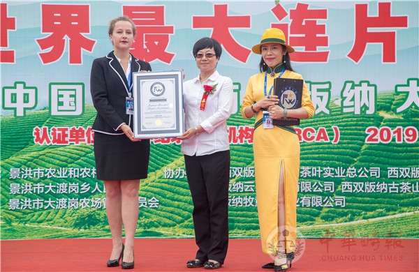 雲南大渡崗茶園獲「世界最大連片茶園」世界紀錄